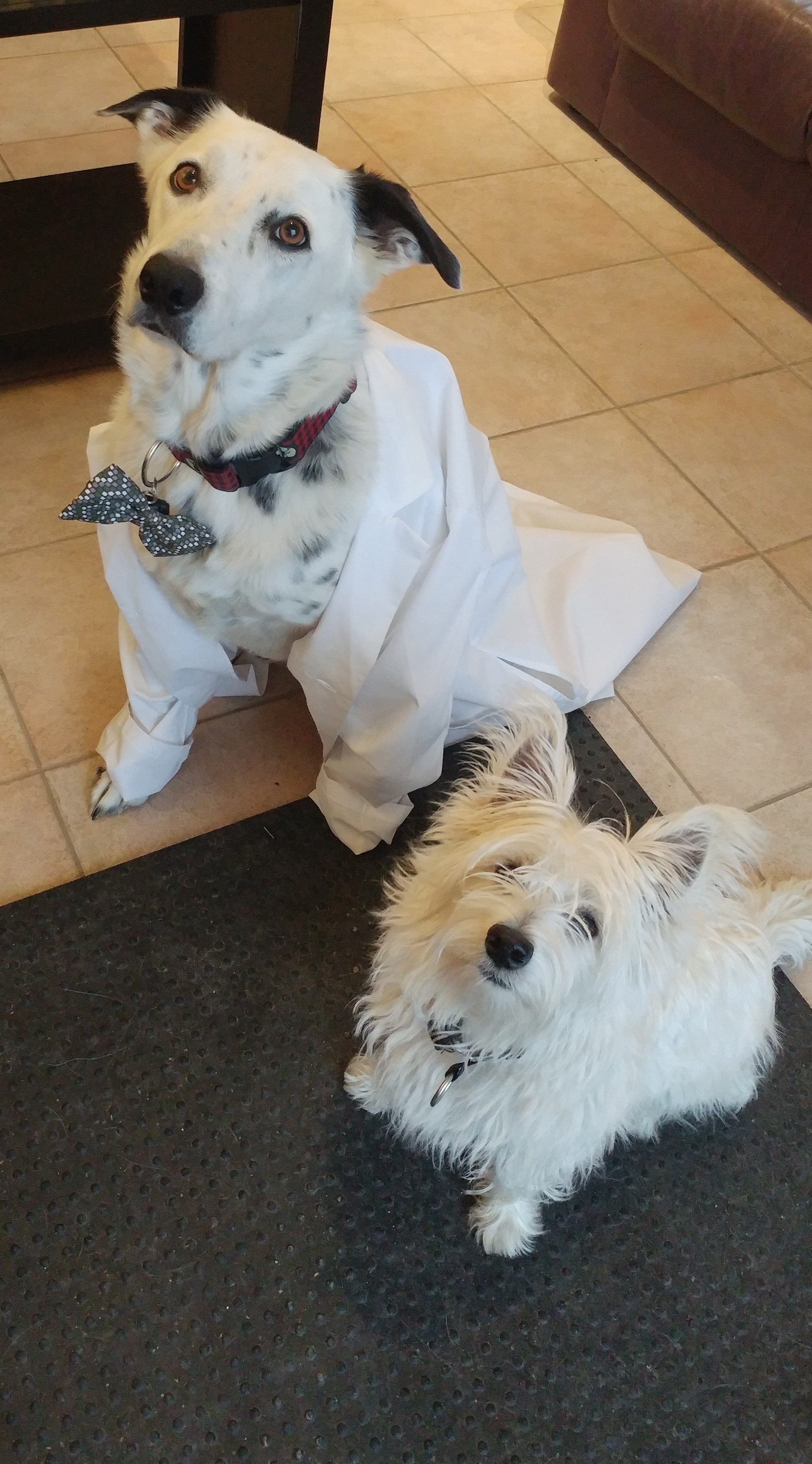 Lab Safety Centrifuges Hazards and Preventative Maintenance