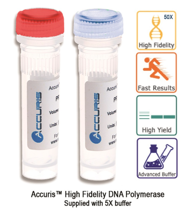Accuris High Fidelity DNA Polymerase