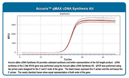 Accuris qMax cDNA Synthesis Kit