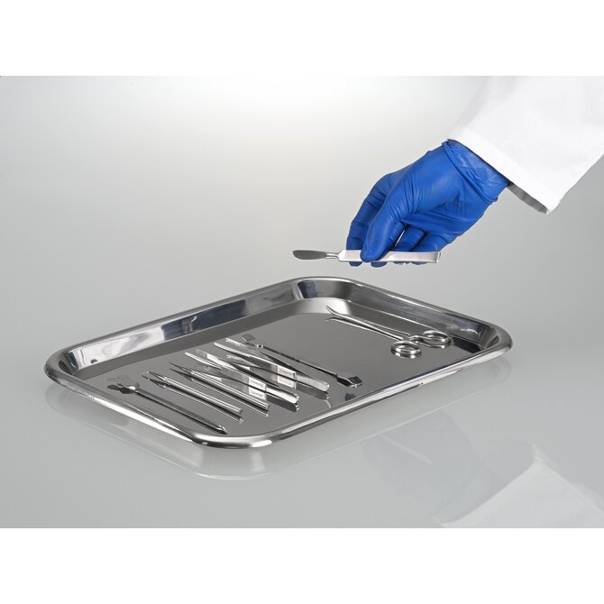 Bürkle AISI 304 Stainless Steel Laboratory & Instrument Trays