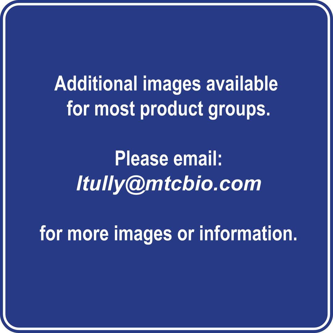 Optiwell Plate and Comb Combo Pack