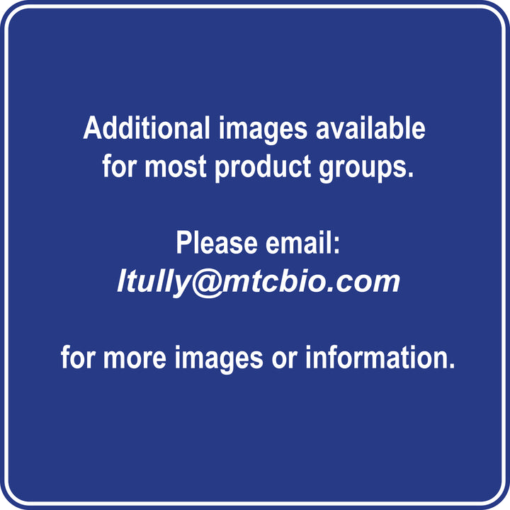 Optiwell Plate and Comb Combo Pack