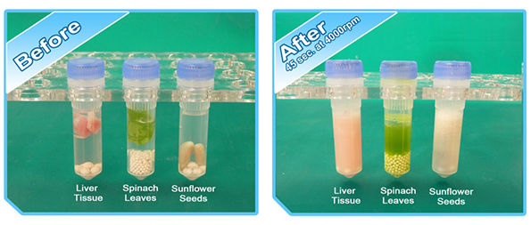 BeadBlaster™ 24 Microtube Homogenizer