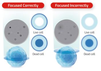 Accuris QuadCount™ Automated Cell Counter