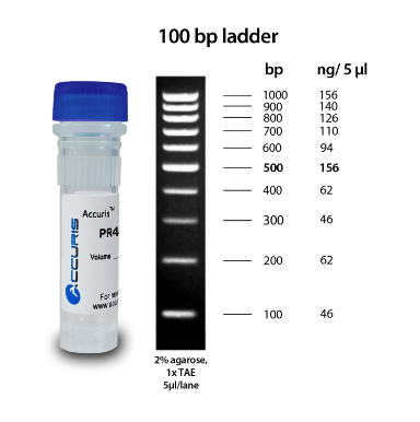 Accuris SmartCheck™ Ladders