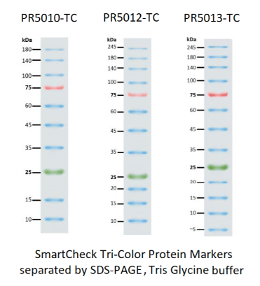 Accuris SmartCheck™ Protein Markers