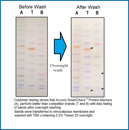 Accuris SmartCheck™ Protein Markers