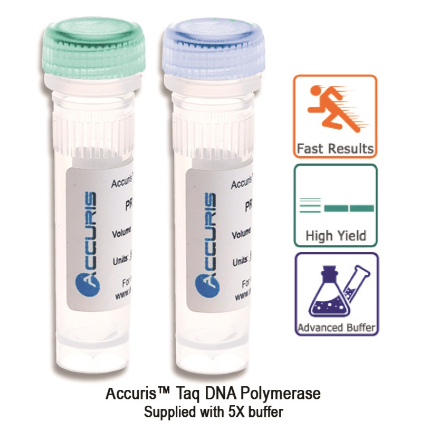 Accuris Taq Polymerase