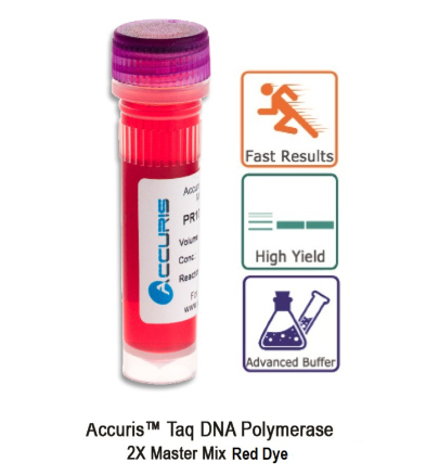 Accuris Taq Polymerase