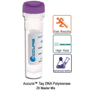 Accuris Taq Polymerase