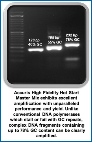 Accuris High Fidelity DNA Polymerase