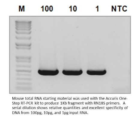 Accuris One-Step RT-PCR Kit