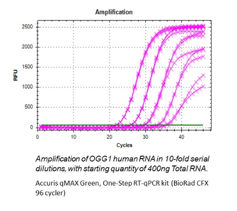 Accuris qMax Probe One-Step RT-qPCR Kit