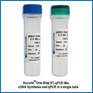 Accuris qMax One-Step RT-qPCR Kit - BULK