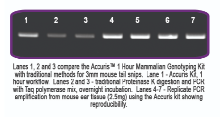 Accuris 1 Hour Mammalian Genotyping Kit