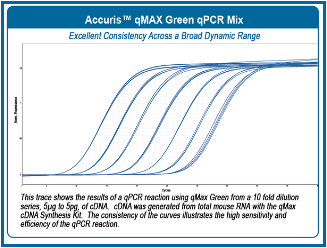 Accuris qMax SYBR Green