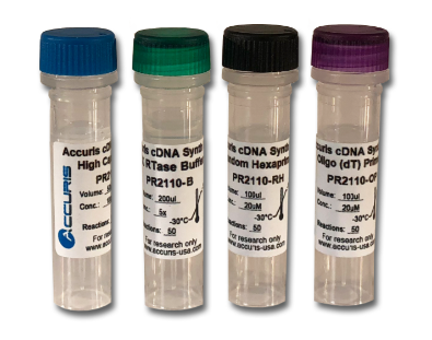 Accuris qMax cDNA Synthesis Kit