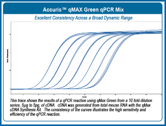 Accuris qMax Green qPCR Mix with Blue Tracking Dye