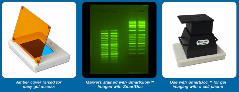 Accuris SmartBlue™BlueLight Transilluminator