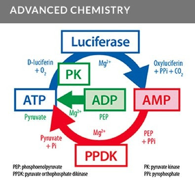 Kikkoman Lumitester™ Smart: The A3 Sanitation System