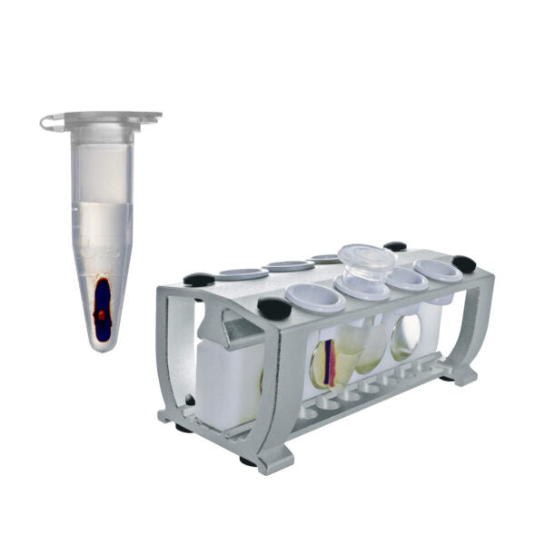 Magnetic Bead Separation Rack