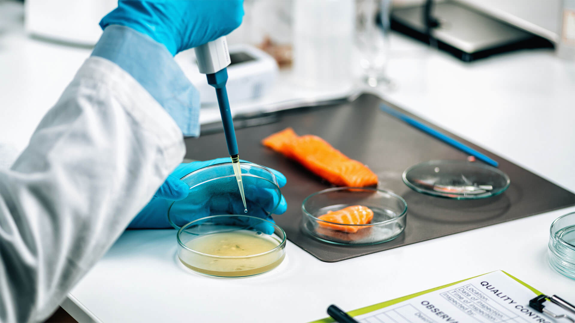 Food testing salmon in a lab