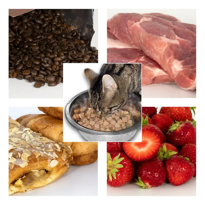 PCE-WAM 60 Water Activity Meter - For Food QA/QC & R&D in Canada