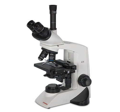 Trinocular Compound Microscope - Halogen
