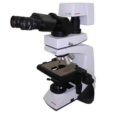 LX500 Compound Microscope