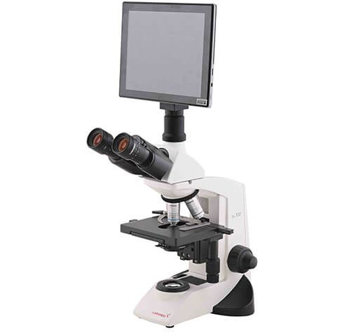 LX300 Classroom Compound Microscope