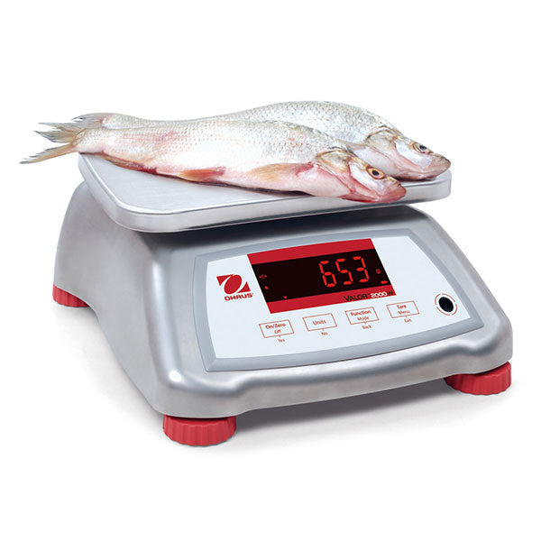 Ohaus V22XWE30T - 30 kg x 5 g Washdown Food Scale